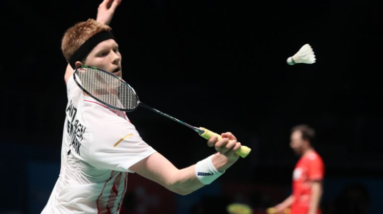 导致了这次 导致了这次